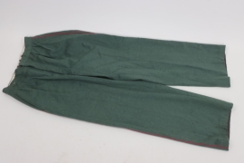 Heer parade trousers for Generalstaff of Veterinary