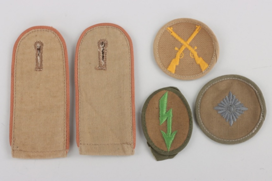 Heer and Luftwaffe tropical insignia grouping