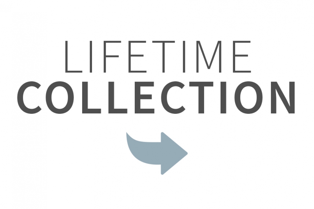Lifetime Collection- fine porcelain
