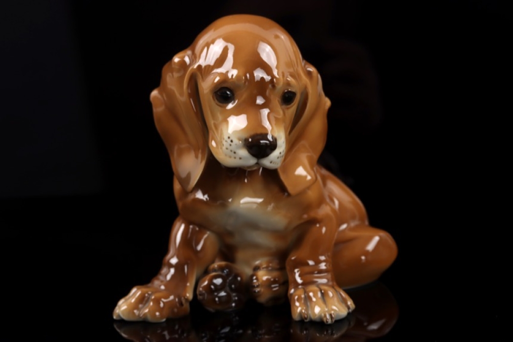 Allach - Young Dachshund sitting (No.2) - colored